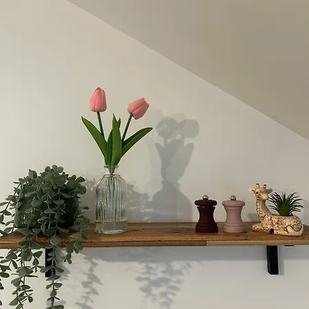 La Bulle Colorée * Saint-Aubin-lès-Elbeuf