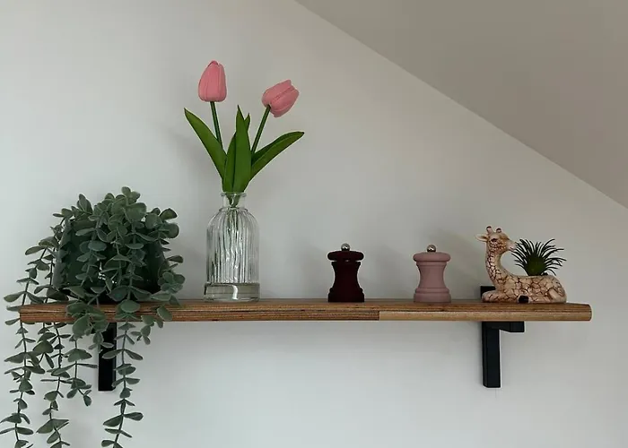 La Bulle Colorée * Saint-Aubin-lès-Elbeuf